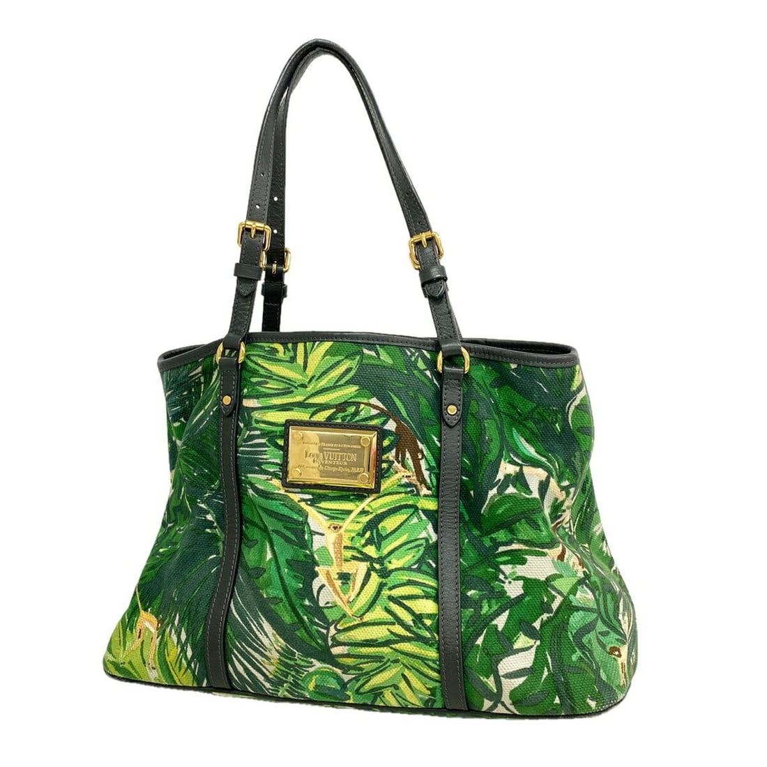 Louis Vuitton Aiol Cabas PM Tote Bag M93770 Adventure Ladies P3338466