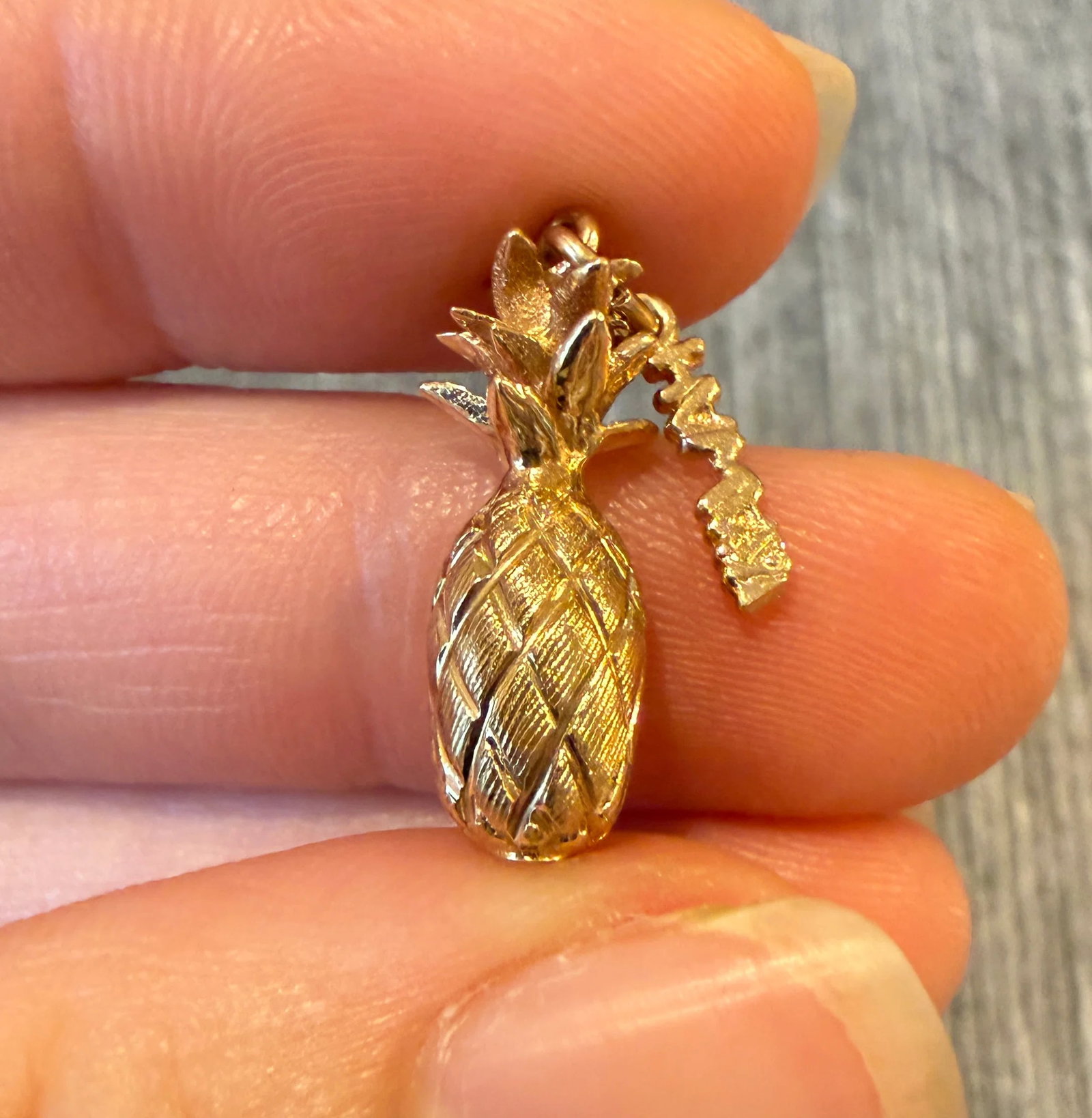 Pineapple and Hawaii Charm in 14K Gold (1 of 1)