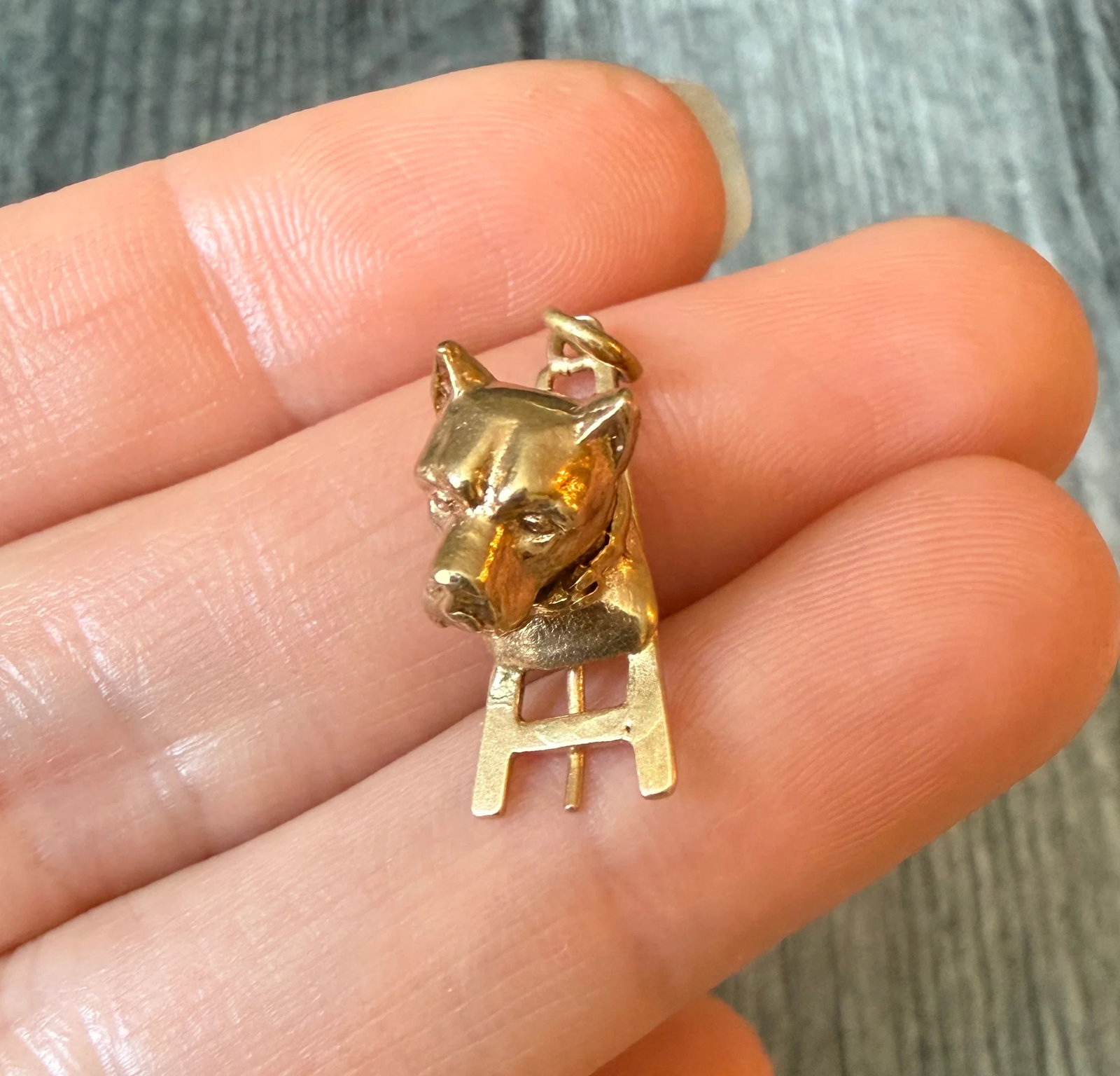 Vintage Dog Head and Fence Charm in 14K Gold: Metal: 14K Yellow Gold Weight: 5.1 gramsMeasurements: 0.8 inches long by 0.35 inches wideCondition: In good condition with some minor surface wear