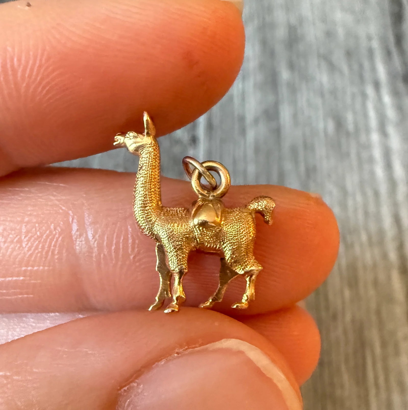 Liama Charm in 18K Gold: Metal: 18K Yellow Gold (acid tested)Weight: 2.9 gramsMeasurements: 0.75 inches long by 0.55 inches wideMarkings: "18K"Condition: In very good condition with some minor surface wear