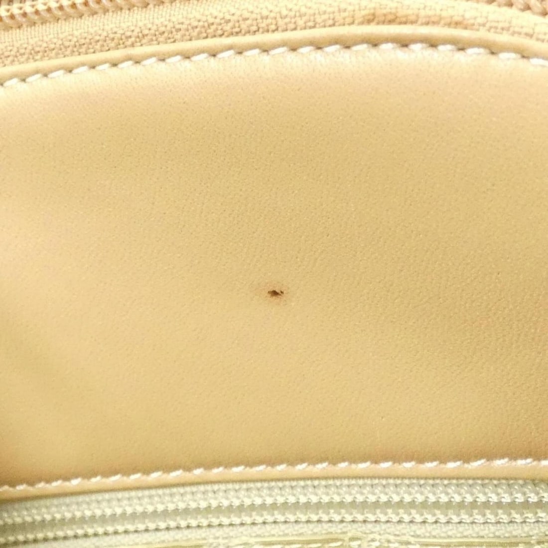 Loewe handbag - 10