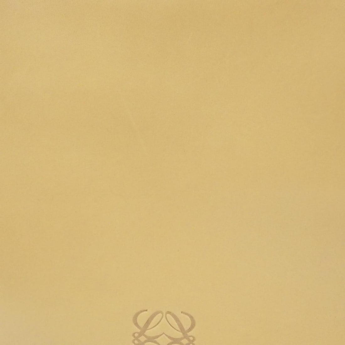Loewe handbag - 5