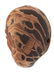 A SET OF THREE JAPANESE CARVED HORN NETSUKE - 3