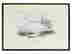 item-103843628=3