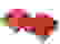 item-104953939=3