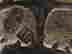 item-107620497=7