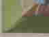 item-108694219=4
