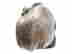 item-114506861=3