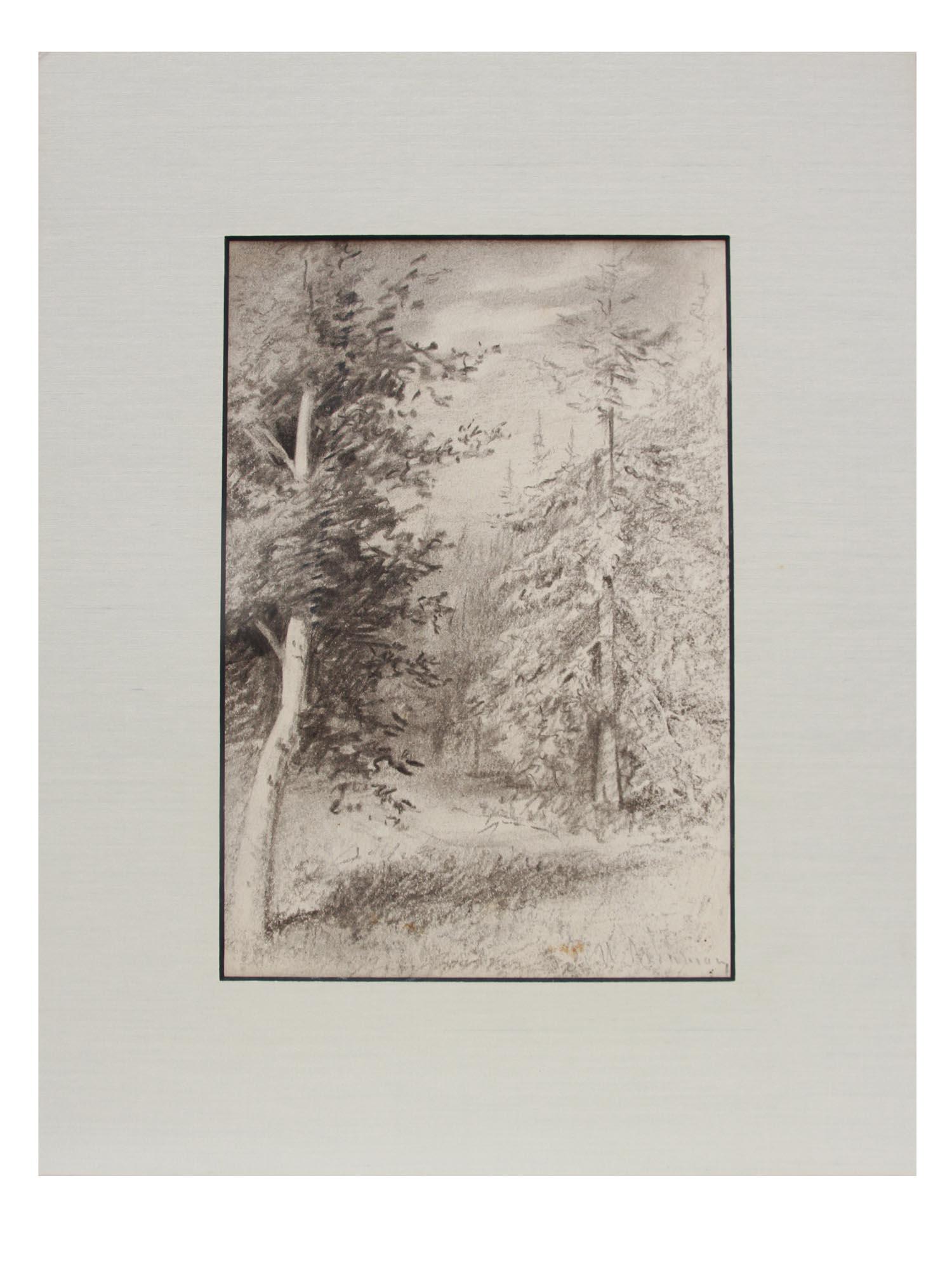 A RUSSIAN PENCIL PAINTING PINES BY ISAAC LEVITAN (1 of 4)