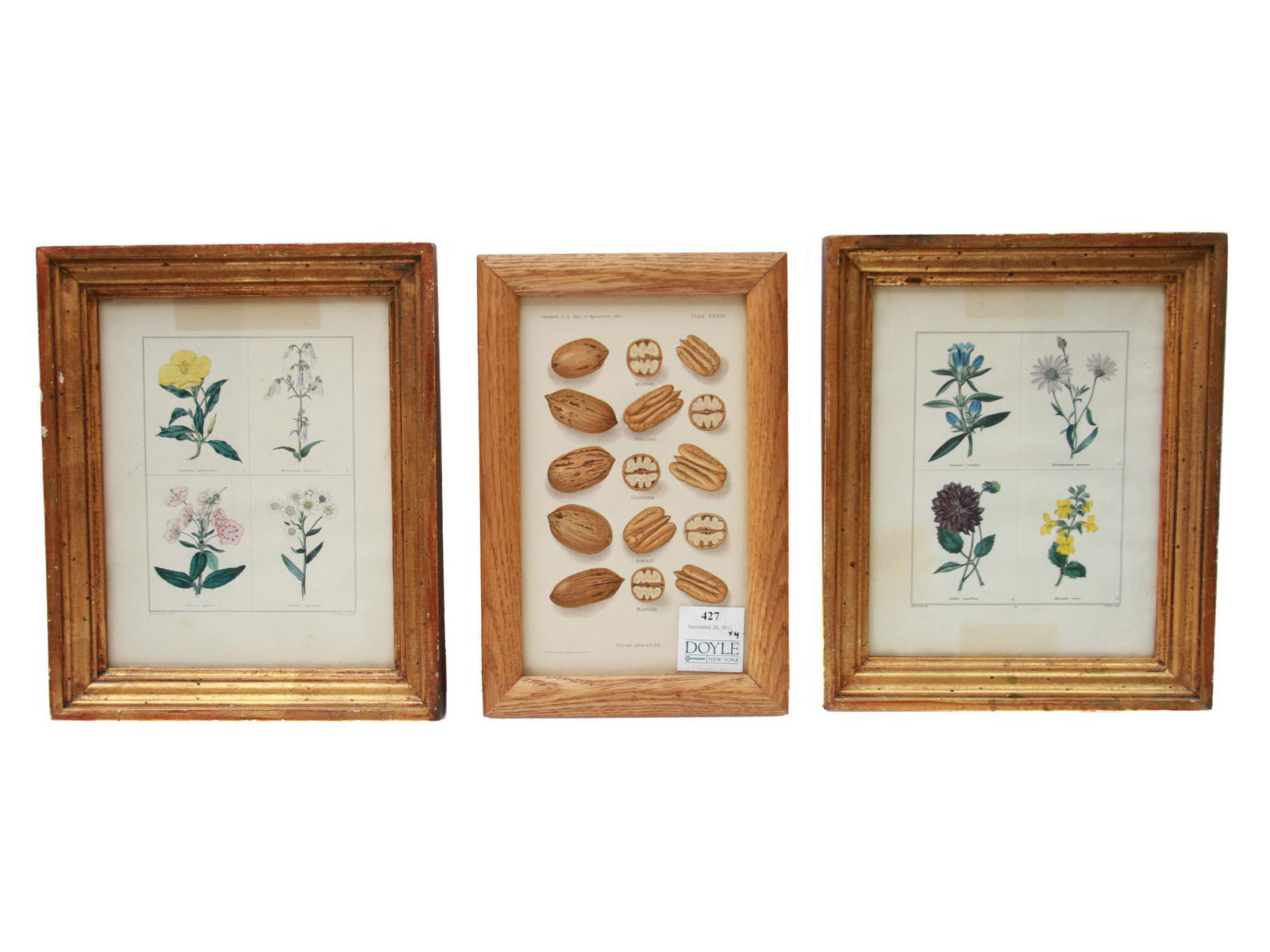 AFTER B. MAUND THREE ENGRAVINGS FLOWERS AND NUTS (1 of 12)