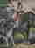 item-121032577=2