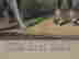 item-121032577=3