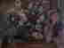item-121032610=2