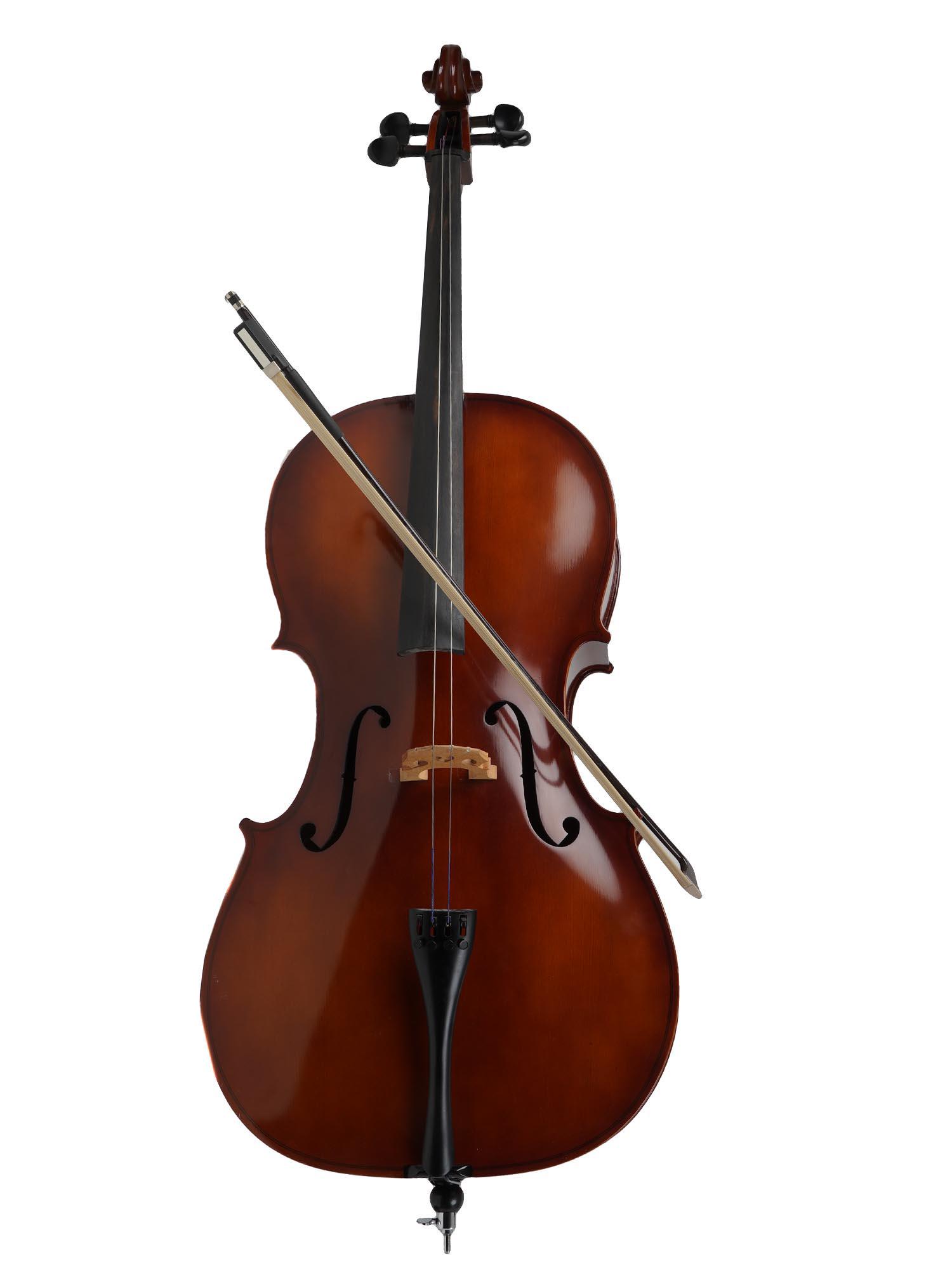 VINTAGE AMERICAN CARLO ROBELLI LAMINATED CELLO (1 of 8)