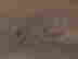 item-121076684=3