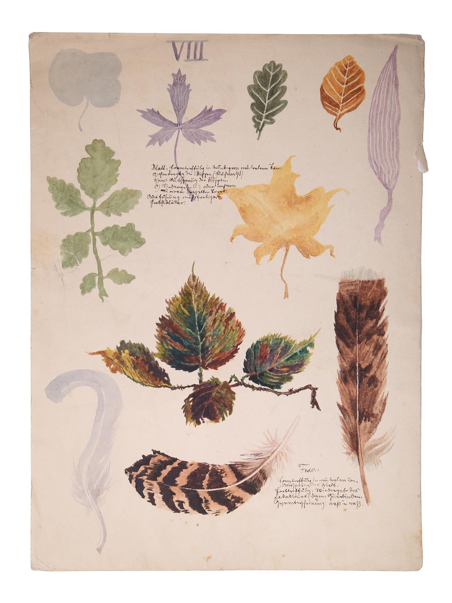 ANTIQUE BATANIKAL WATERCOLOR ON PAPER PAINTING (1 of 4)