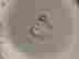item-125558504=7