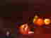 item-128732835=2