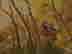 item-128732856=3