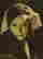 item-130973774=2