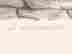 item-130973788=5