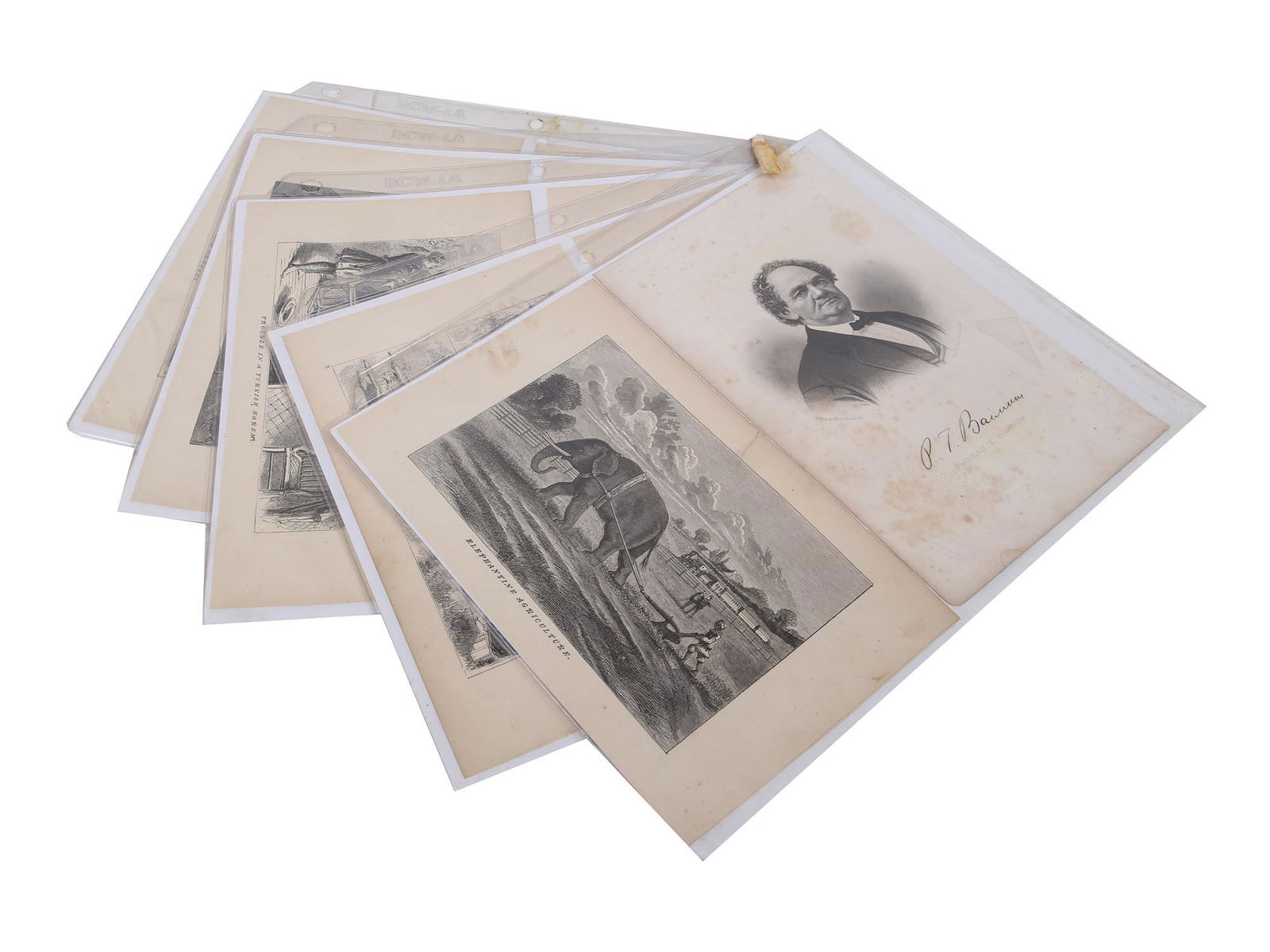 ANTIQUE 1880S AMERICANA BARNUM CIRCUS ENGRAVINGS (1 of 7)