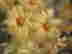 item-130973916=6
