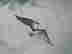 item-130973948=3