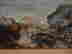 item-130973948=5