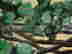 item-130973956=4