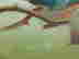 item-130974187=4