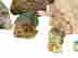 item-130974249=4