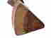 item-130974442=11