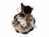 item-130974460=5