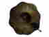 item-130974460=6