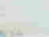 item-131704688=6