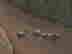 item-131704728=3