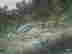 item-131704782=3
