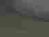 item-131704785=5