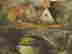 item-131704819=3