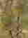 item-131704819=4