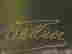 item-131704819=5