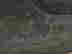 item-131704884=11