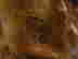 item-131704893=7