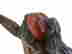item-131704893=8