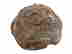 item-131705076=6