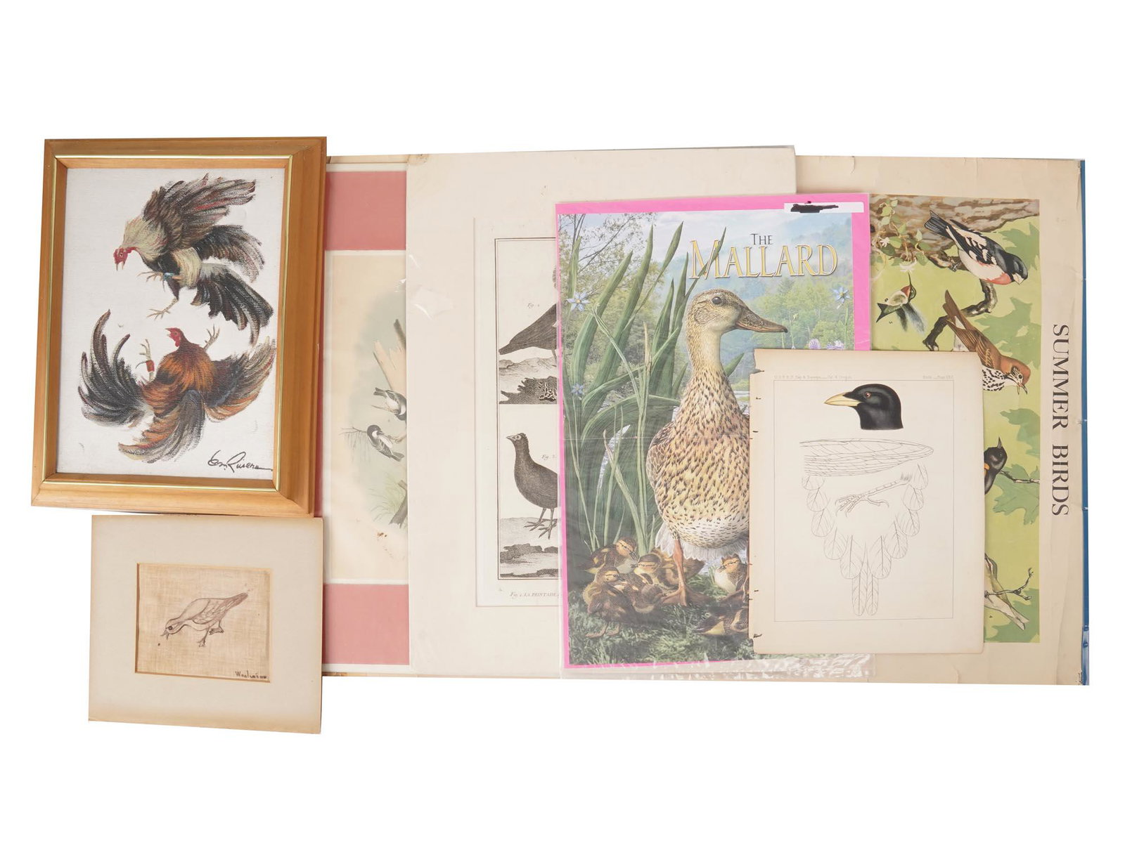COLLECTION OF VINTAGE BIRD WALL DECORATIONS: The lot includes a vintage lithograph print Summer Birds, signed in print Jacob Bates Abbott; an original framed artwork depicting fighting roosters, signed Rivera lower right; a framed drawing of a d
