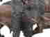 item-133476327=6