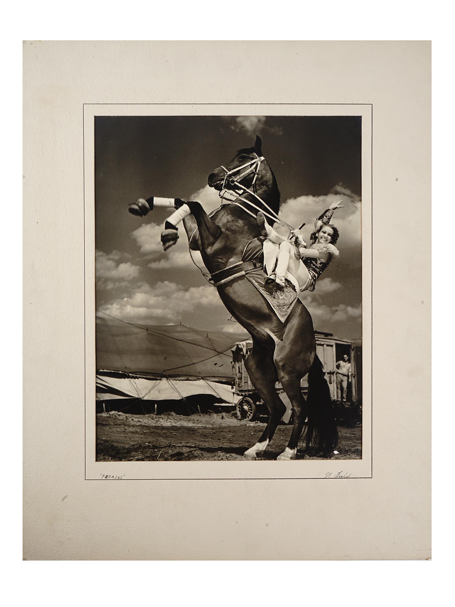 VINTAGE AMERICAN PEGASUS PHOTO BY NATHANIEL FIELD: Nathaniel Field, American, 20th century, rare black and white photograph mounted on a laid paper depicting a female artist on a circus horse titled Pegasus. Entitled and signed in pencil lower. Circa 