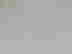 item-134159308=8